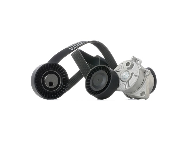 Costo kit cinghie poly-v BMW Serie 3 STARK SKRBS-1200911