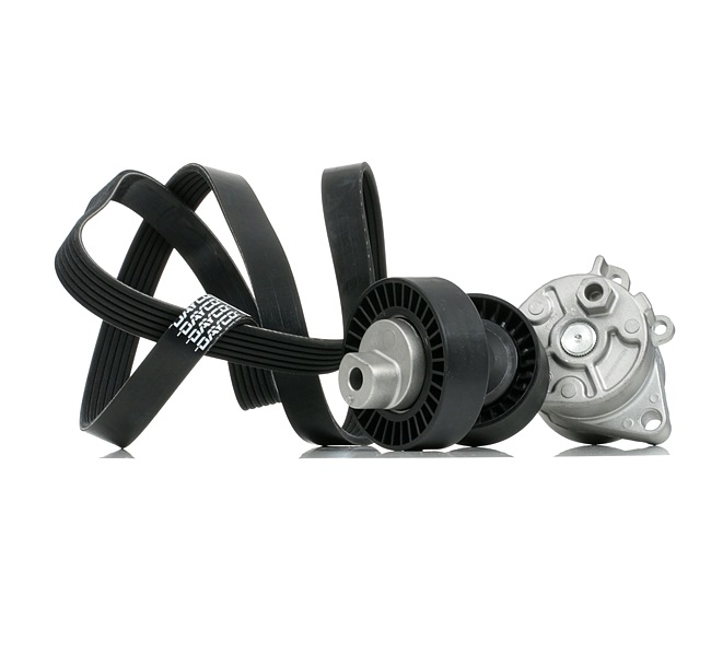 RIDEX 542R0913 Jogo de correia trapezoidal estriada BMW 3 Cabrio (E36) 325 i Gasolina 192 cv 1993 preço