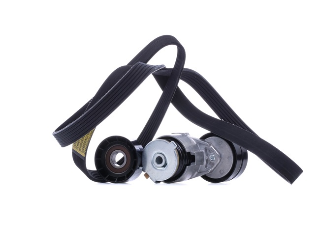 RIDEX 542R0935 Komplet rebrastega jermena VAUXHALL Vivaro Van (X83) 1.9 DTI Dizel 101 km 2002