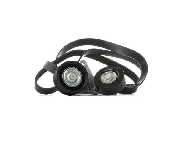 542R0950 RIDEX Kit de correa poli v MAZDA 5