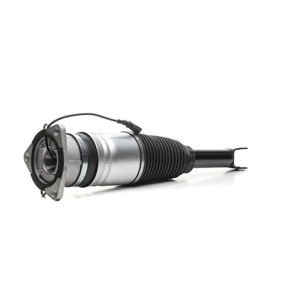 4118A0100 RIDEX 4E0616002F Luftfederbein