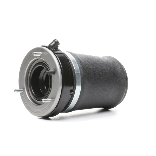 Ilmajousi RIDEX 4119A0093 sopivat BMW halvalla