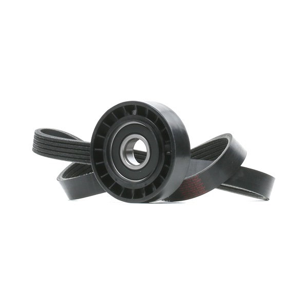 RIDEX 542R0969 Keilrippenriemensatz FIAT Tempra S.W. (159) 1.6 i.e. 75 PS Benzin 1995