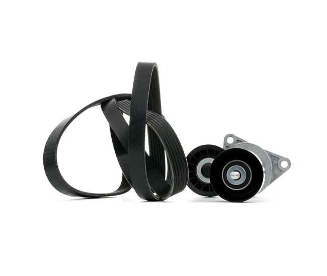 RIDEX 542R0978 Multi-V-riem Ford Transit Connect mk1 1.8 16V LPG Benzine/Autogas (LPG) 116 Pk 2002 kosten