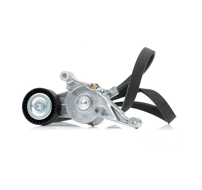 RIDEX 542R0987 Kit cinghia servizi VOLKSWAGEN Transporter 5 Bus (7HB, 7HJ, 7EB, 7EJ, 7EF, 7EG, 7HF, 7EC) 1.9 TDI Diesel 102 CV 2007 prezzo