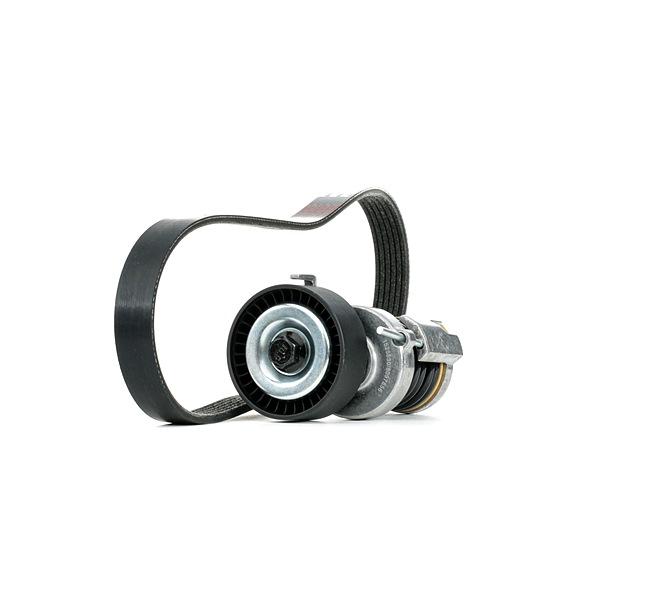 RIDEX 542R0992 Kit de correa de alternador VOLKSWAGEN Golf V Variant (1K5) 1.4 Gasolina 80 cv 2009 precio
