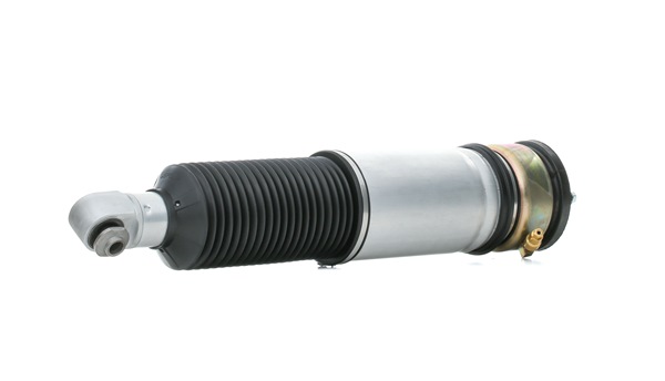 RIDEX 4118A0108 Suspensão a ar BMW E65 730d 3.0 Diesel 218 cv 2004 preço