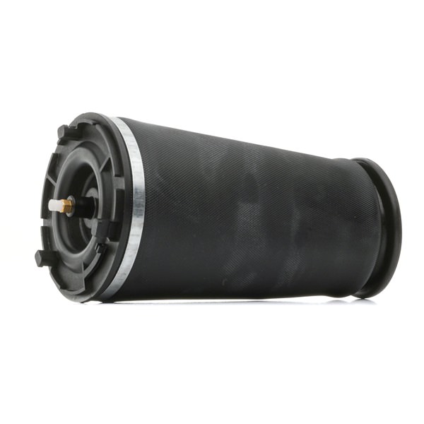 25815604 OE RIDEX Molla pneumatica 4119A0094