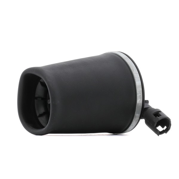 Air Spring, suspension RIDEX 4119A0095 suitable for FORD USA, LINCOLN at cheap price