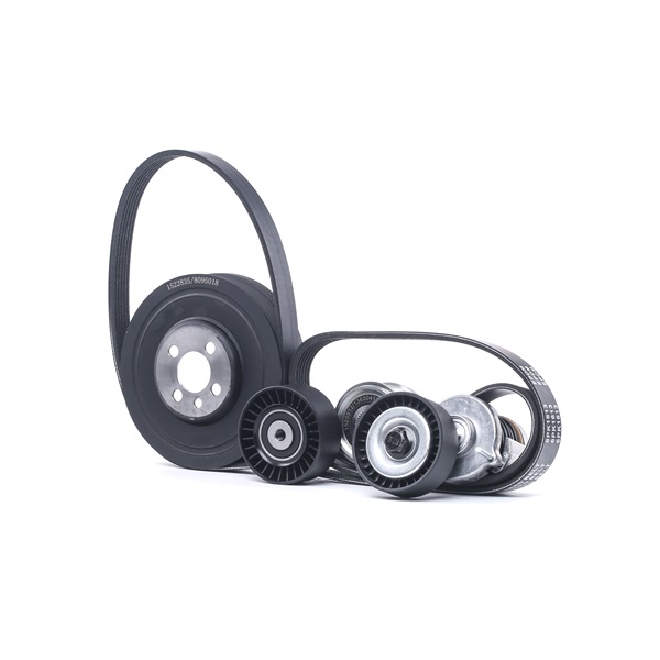 RIDEX 542R1015 Kit de courroie d'accessoire Audi A4 8h 2.0 TDI Diesel 136 CV 2006