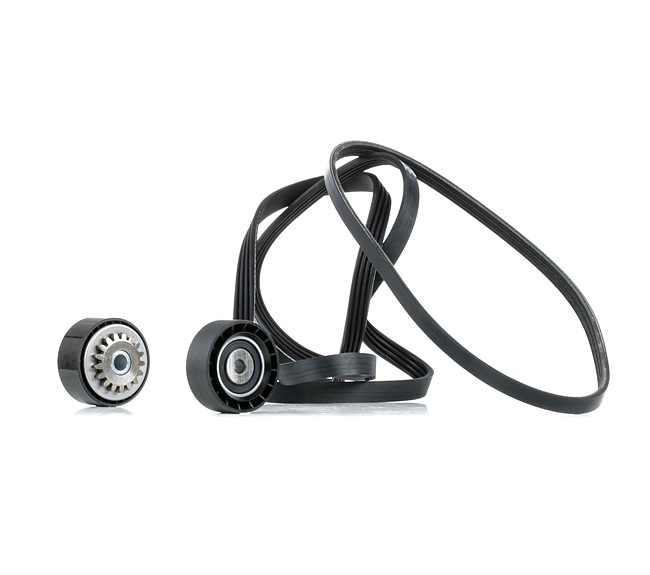 RIDEX 542R1020 Kileribberemssæt Renault Clio 2 1.2 16V (BB05, BB0W, BB11, BB27, BB2T, BB2U, BB2V, CB05,... Benzin 75 HK 2007 pris