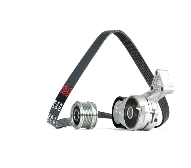 RIDEX 542R1030 V formos rumbuotas diržas, komplektas Skoda Octavia 2 Combi 2.0 FSI 4x4 benzinas 150 AG 2007