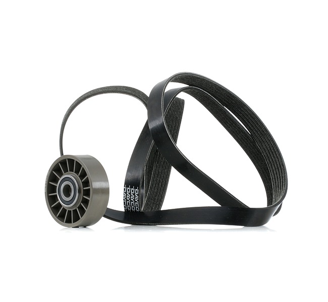 RIDEX 6012001270 Poly V-riem set