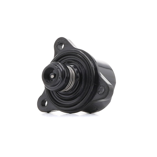 1298I0073 RIDEX IACV for MITSUBISHI OUTLANDER