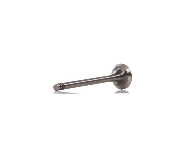 BMW Exhaust valve price AMP PBMW010-A-0-N