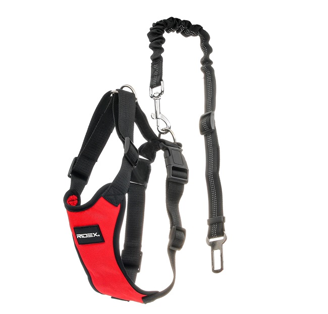 100037A0004 RIDEX 100037A0004 Cinturones de seguridad para perros