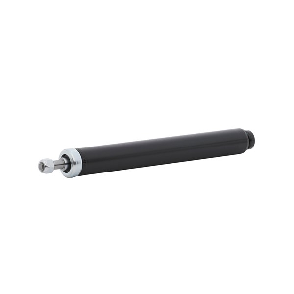 RIDEX 893413503C Iskunvaimennin 854S18249