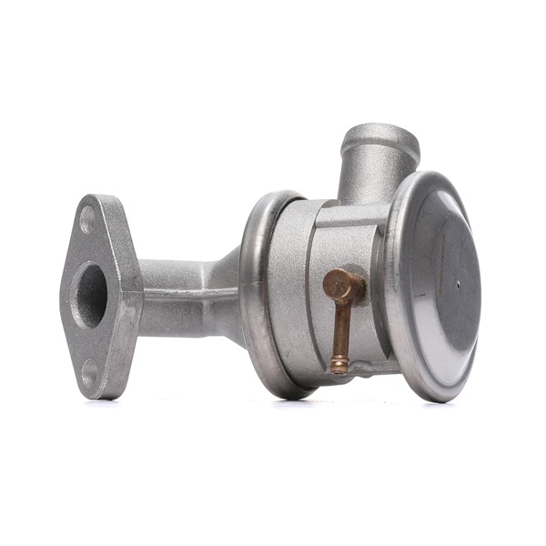 863V0006 RIDEX 1435420 Ventil, Sekundärluftpumpsystem