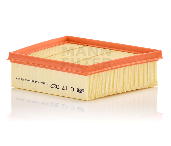 MANN-FILTER Filtro de aire C 17 022