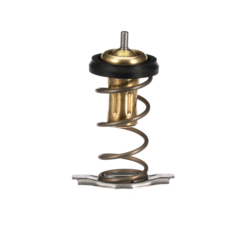 GATES TH63988G1 Thermostat Doblo II Universalas (263) 1.6 D Multijet (263AXN1B, 263AXV1B) dyzelinas 120 AG 2021