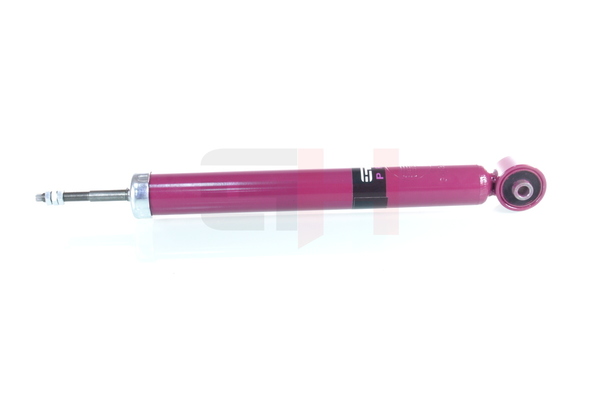 6E0513025B OE GH Shock absorber GH+309973