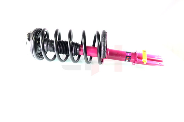 1315373080 OE GH Conjunto mola / amortecedor GH+351958C01