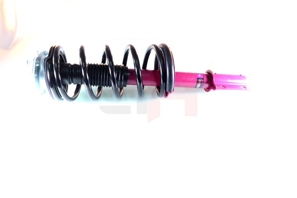 1315373080 OE GH Conjunto mola / amortecedor GH+351958C11A