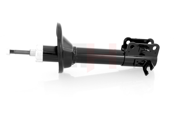 B69828700 OE GH Shock absorber GH-323276
