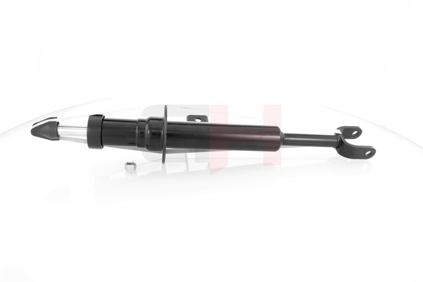 6863896 OE GH Shock absorber GH-351518V