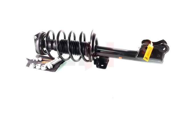 A1693200073 OE GH Suspension Strut GH-353366C05