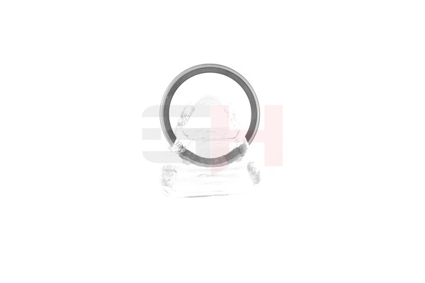 Кольцо абс GH GH-493910