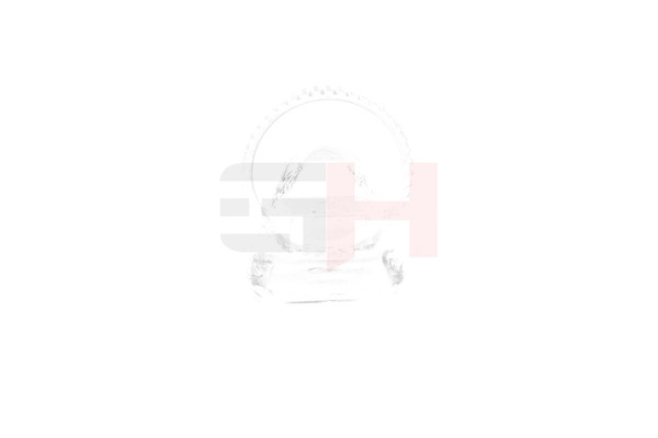 Кольцо абс GH GH-493981