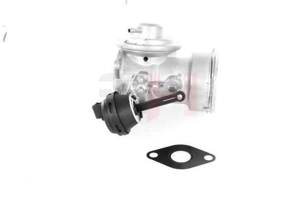 038129637L OE GH EGR valve GH-734372