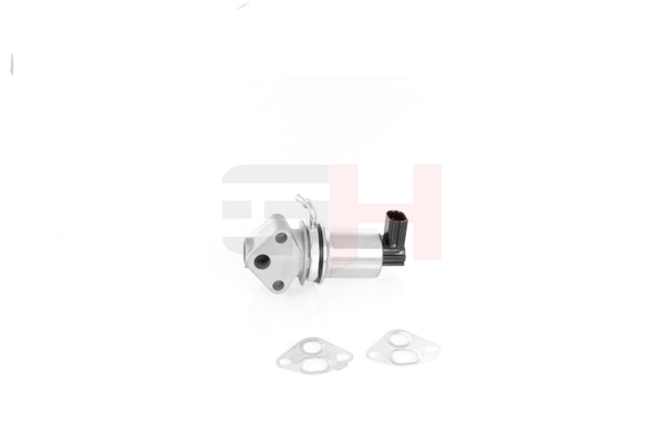 GH 36131503T EGR-ventil