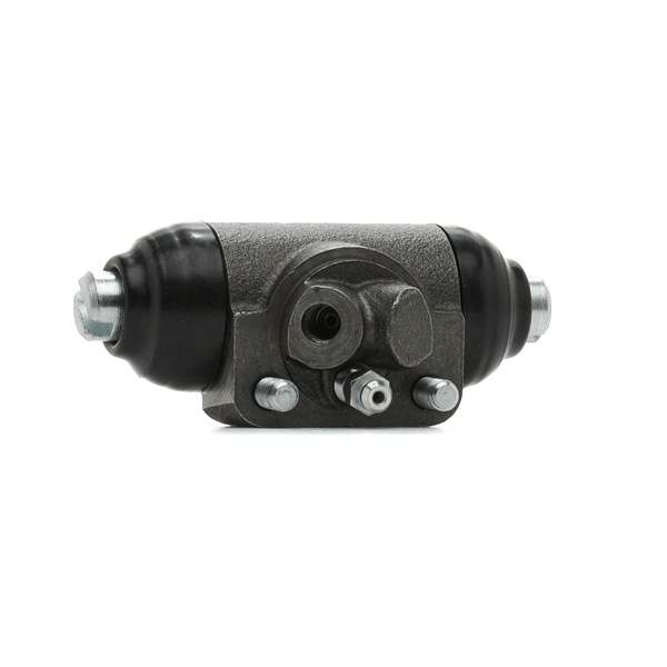 DELPHI LW30072 Cilindretto freno LAND ROVER RANGE ROVER 2010 prezzo