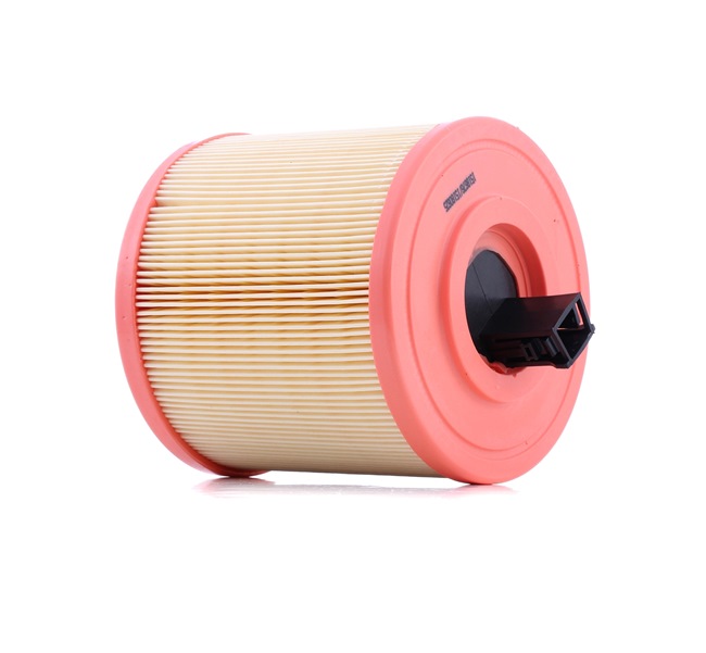 Luftfilter RIDEX 8A1664 passend für VW, AUDI, BMW, MERCEDES-BENZ, FORD zum günstigen Preis