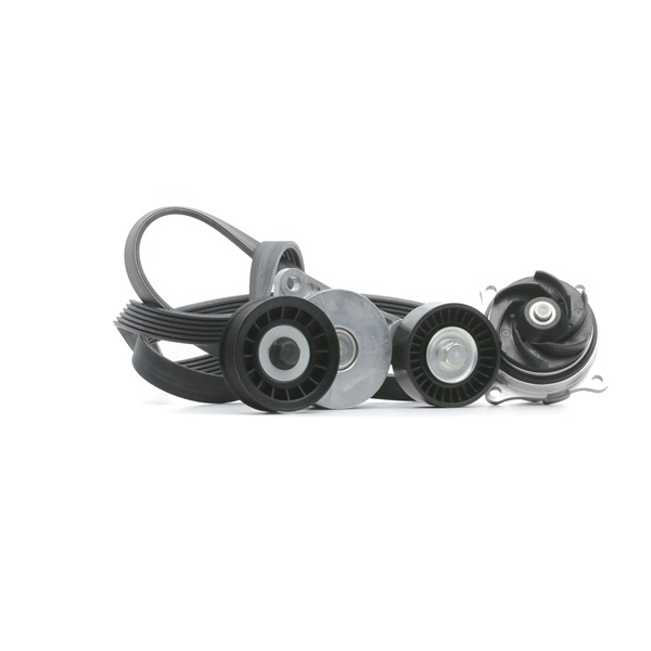 originale Ford C-MAX RIDEX Drivremsett 4172P0088