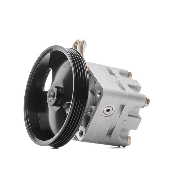 491109F600 OE STARK Črpalka za servo volan SKHP-0540331