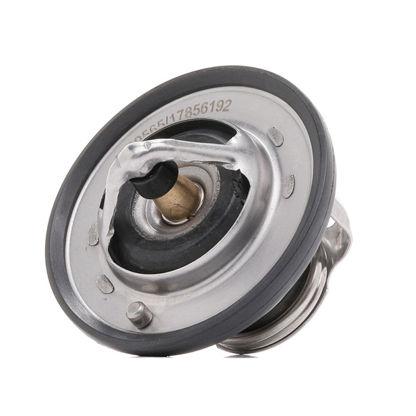 RIDEX 316T0407 Термостат RENAULT KOLEOS (HY_) 2.0 бензин 140 л.с. 2025