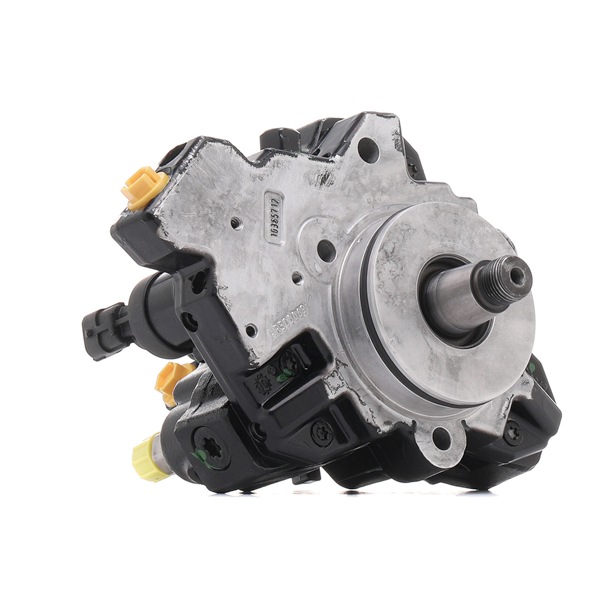 3918H16989R RIDEX REMAN 51111037813 Hochdruckpumpe