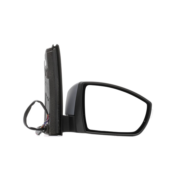 1405020 OE TYC Espelho retrovisor 310-0269