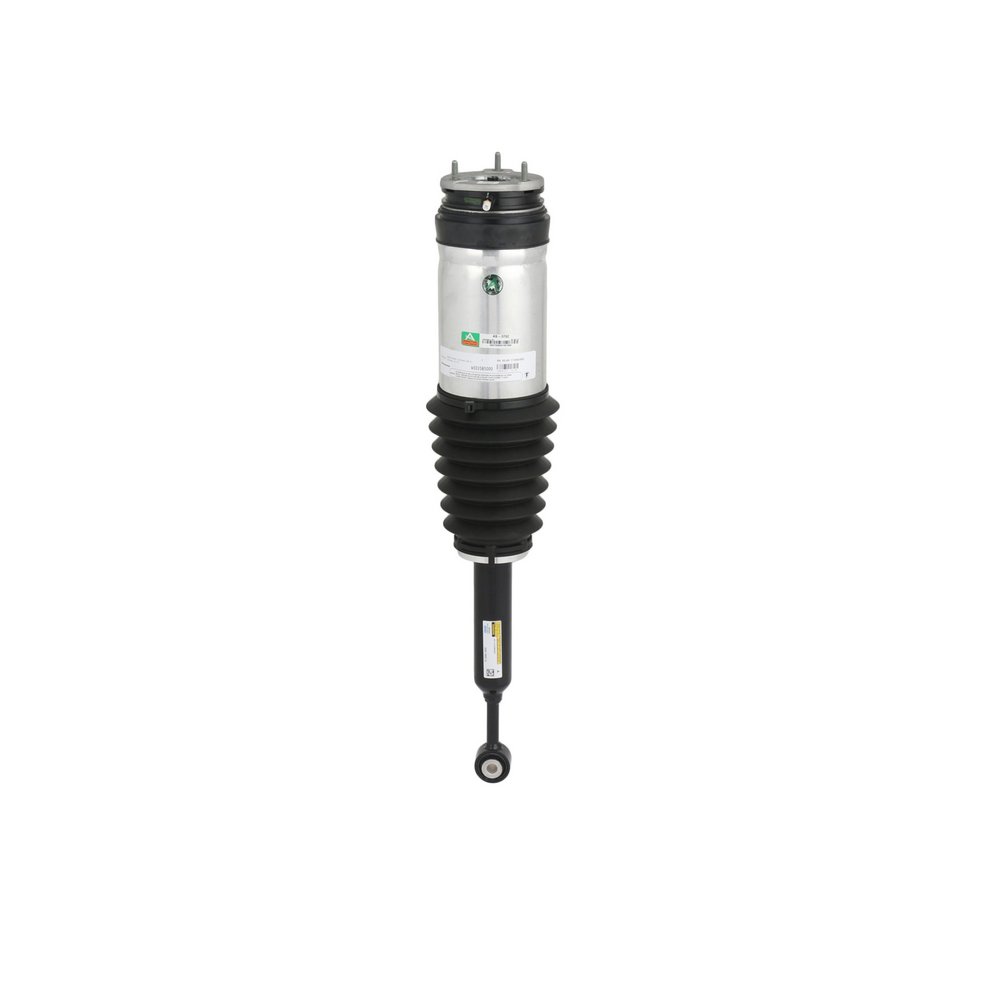 102746100E OE Arnott Amortecedor pneumático AS-3752