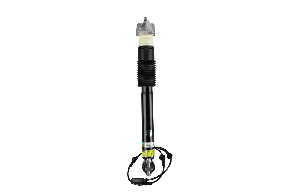 EG9Z18125D OE Arnott Shock absorber SK-3610