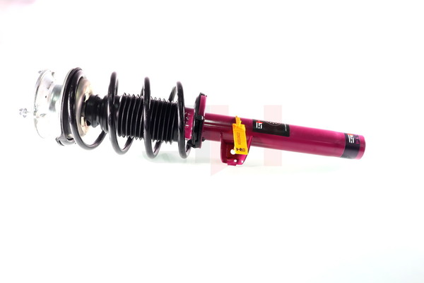 31316796159 OE GH Ammortizzatore a molla GH+351549C02