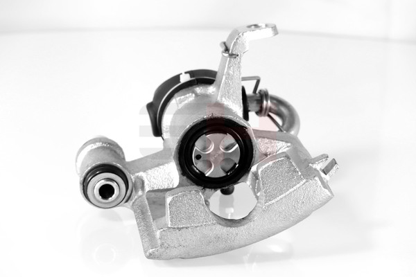 GH 1328619 Jarrusatula GH-452515V