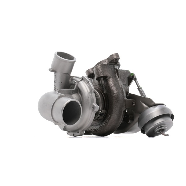 2234C10644R RIDEX REMAN 172010R062 Turbolader