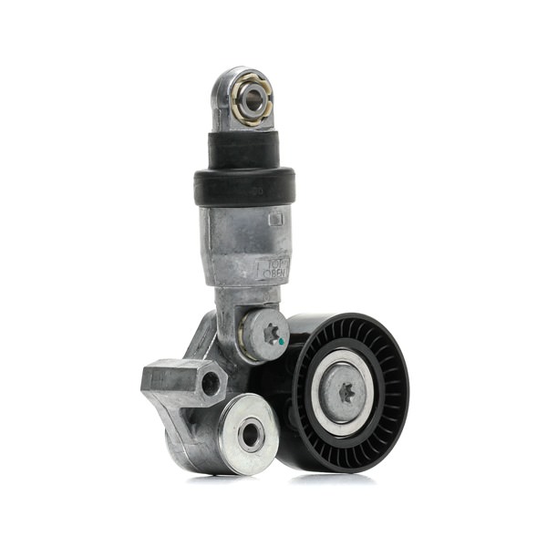 Poulie, tendeur de courroie d'accessoire RIDEX 310T0622 appropriées pour MAZDA pas cher