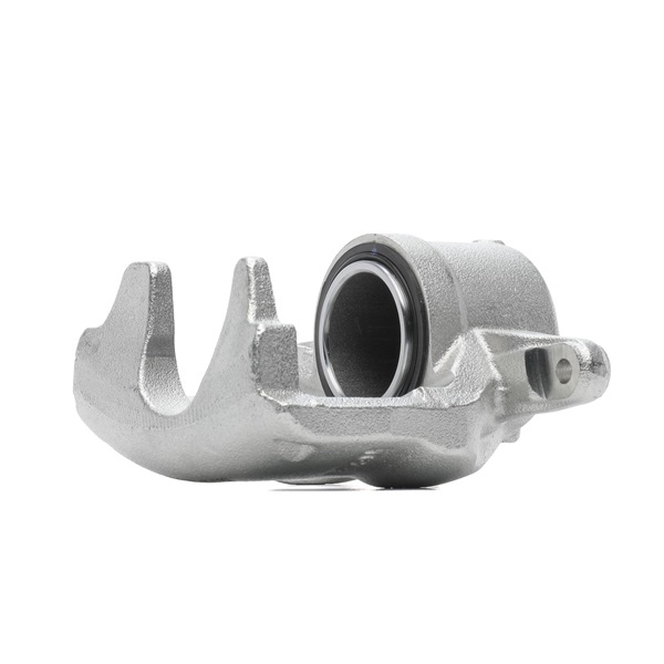 RIDEX 542206 Jarrusatula 78B2294