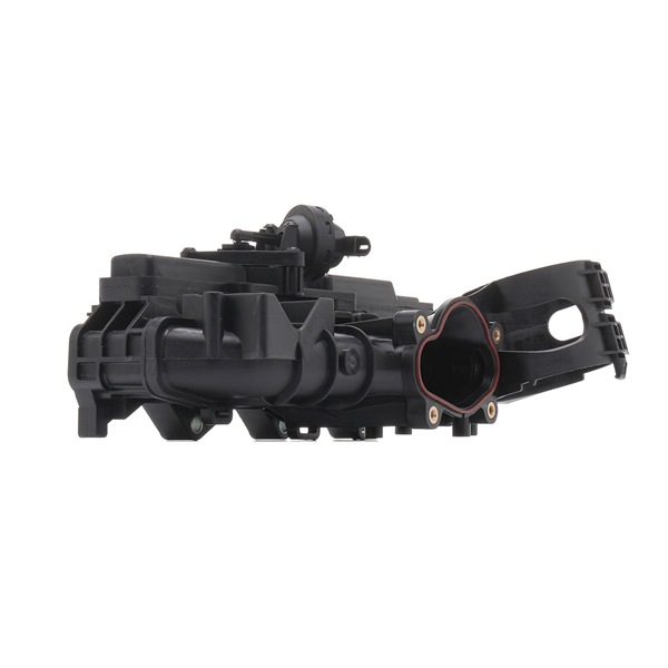 RIDEX 6460902337 Frame, inlaatspruitstuk