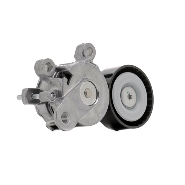 RIDEX 310T0652 Kjede Vw Polo Vivo